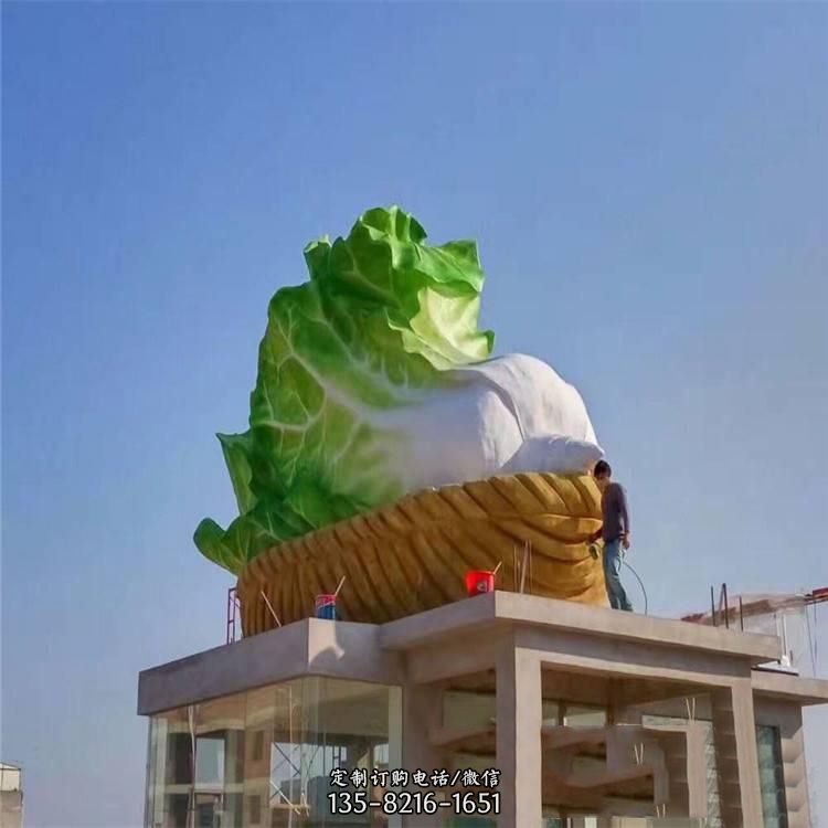 大白菜 大白菜
