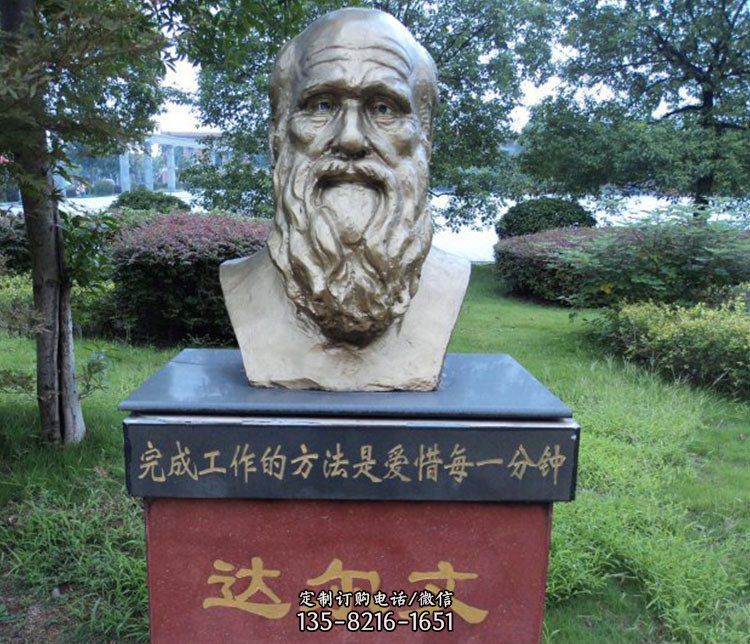 铜雕校园达尔文肖像雕塑