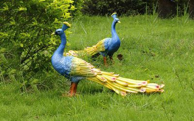 公园草坪上两只觅食的仿真动物玻璃钢彩绘孔雀雕塑