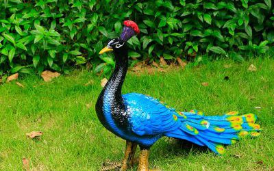 公园草坪玻璃钢彩绘孔雀雕塑