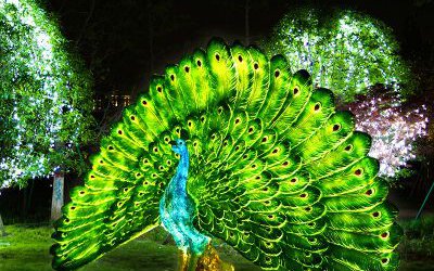 户外景观一只骄傲的玻璃钢彩绘仿真动物夜晚照明孔雀雕塑