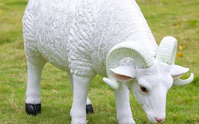 公园草地上摆放食草的玻璃钢仿真绵羊雕塑