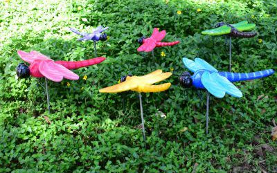 园林草坪玻璃钢彩绘蜻蜓雕塑