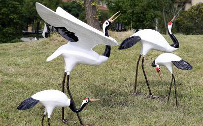 公园草坪上几只玻璃钢仿真动物丹顶鹤雕塑