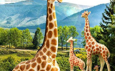 公园景区玻璃钢彩绘大型仿真动物长颈鹿雕塑