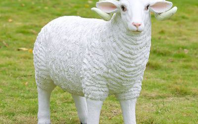 景区草地上一只站立的玻璃钢仿真绵羊雕塑