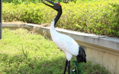 公园草地上一只站立的玻璃钢仿真动物丹顶鹤雕塑