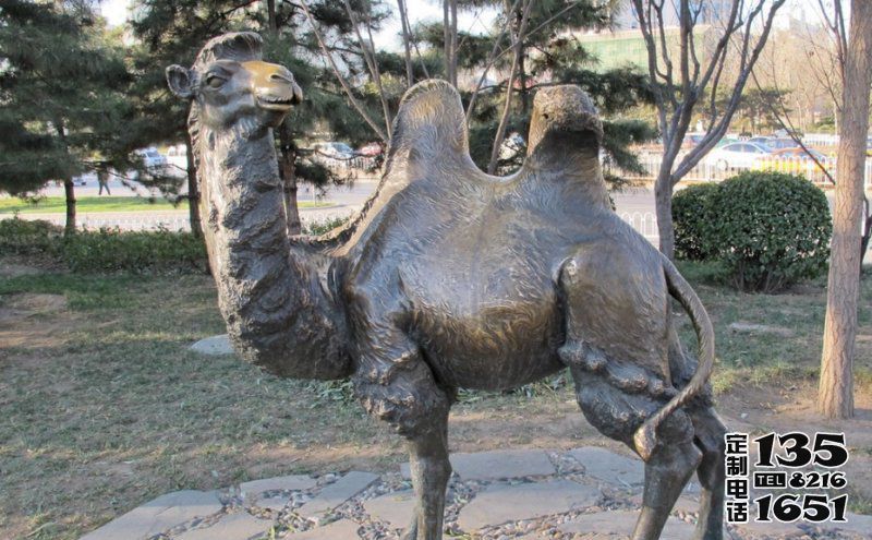 公园草地上摆放的回头大玻璃钢仿铜创意骆驼雕塑