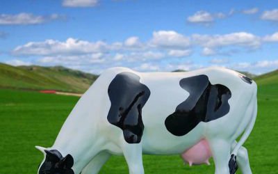 园林草坪一只在吃草的玻璃钢卡通奶牛雕塑