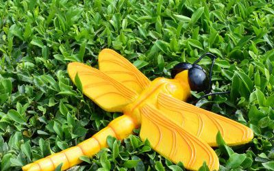 园林卡通玻璃钢彩绘仿真动物蜻蜓雕塑