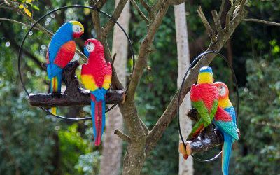 动物园树上休息的玻璃钢彩绘仿真动物鹦鹉雕塑