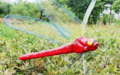 花园广场红色玻璃钢蜻蜓雕塑