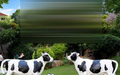 景区摆放一家三口卡通玻璃钢奶牛雕塑