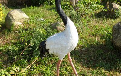 户外玻璃钢彩绘仿真动物公园景观仙鹤雕塑