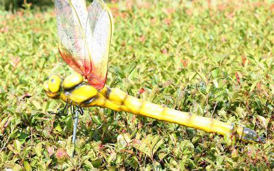 公园草坪玻璃钢仿真动物蜻蜓雕塑
