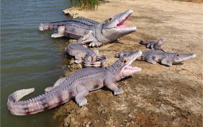 湖边摆放的玻璃钢彩绘鳄鱼雕塑