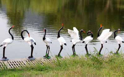 池塘边上一群玻璃钢仿真仙鹤雕塑