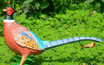 公园里摆放的玻璃钢彩绘山鸡雕塑