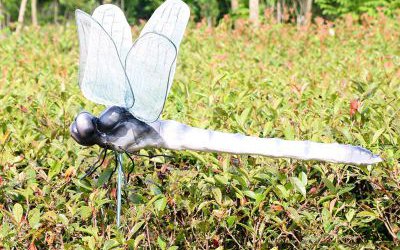 园林草坪中玻璃钢仿真动物蜻蜓雕塑