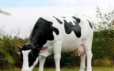 景区草坪玻璃钢仿真奶牛雕塑