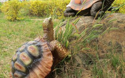 户外草坪创意玻璃钢仿真乌龟雕塑