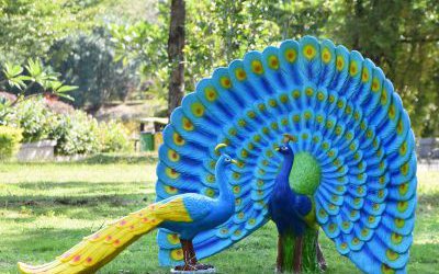 动物园玻璃钢仿真玻璃钢彩绘孔雀雕塑