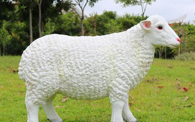 草坪玻璃钢仿真绵羊雕塑