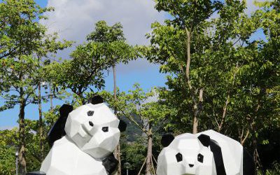 花园广场摆放几何创意玻璃钢卡通熊猫雕塑