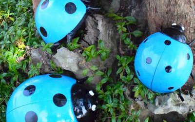 公园里摆放的玻璃钢卡通七星瓢虫雕塑