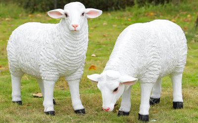 户外草坪玻璃钢仿真绵羊雕塑