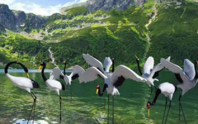 池塘中一群玩耍的玻璃钢仿真仙鹤雕塑