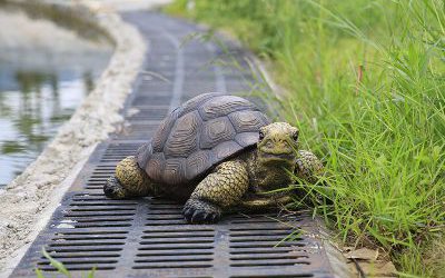户外花园玻璃钢仿真动物乌龟雕塑