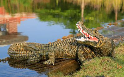 公园池塘里摆放的玻璃钢仿真动物鳄鱼雕塑