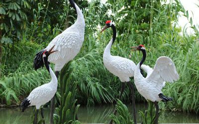 景区装饰品玻璃钢彩绘仙鹤雕塑