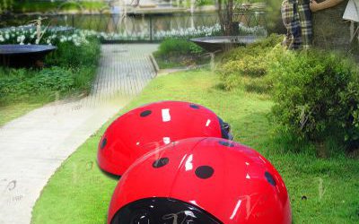 公园景区创意玻璃钢彩绘七星瓢虫雕塑