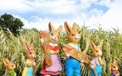 商场幼儿园摆件一群玻璃钢彩绘兔子雕塑