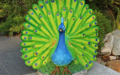 公园里开屏的玻璃钢彩绘孔雀雕塑