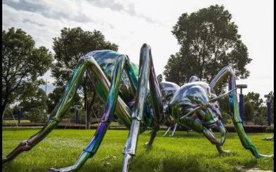 公园草地摆放的大型玻璃钢彩绘蜘蛛雕塑