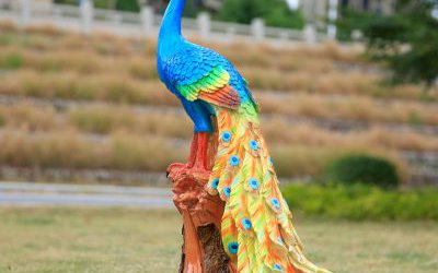 公园草坪摆放的玻璃钢彩绘孔雀雕塑