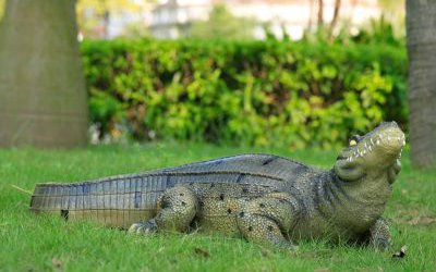 动物草坪玻璃钢仿真到动物鳄鱼雕塑