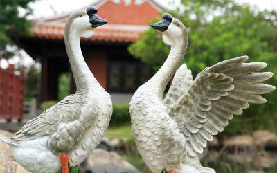 湖边池塘边游玩的玻璃钢仿真动物天鹅雕塑