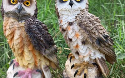 草坪两只玻璃钢彩绘仿真猫头鹰雕塑