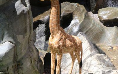公园户外景区创意玻璃钢仿真动物长颈鹿雕塑