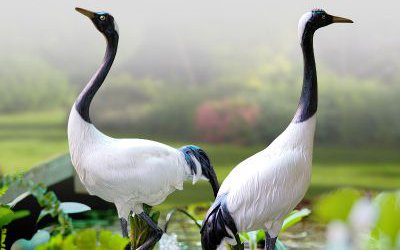 池塘中玻璃钢仿真动物仙鹤雕塑