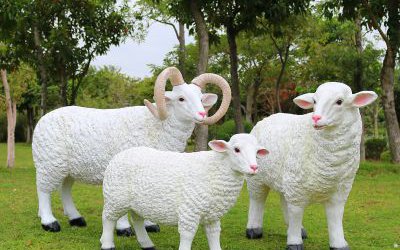 公园草地上玻璃钢仿真绵羊雕塑