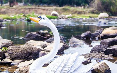 湖边玻璃钢仿真动物天鹅雕塑