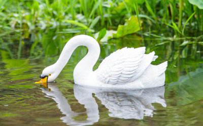 创意景观池塘里觅食的仿真天鹅雕塑