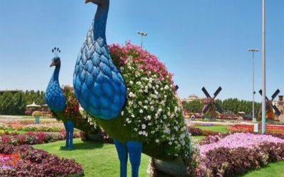 公园草坪户外大型仿真彩绘动物景观孔雀雕塑