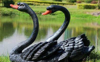 户外池塘玻璃钢仿真动物景观黑天鹅雕塑