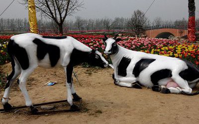 农场户外玻璃钢仿真奶牛雕塑